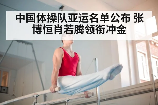 Chinese gymnastics team