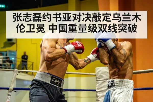 heavyweight boxing match