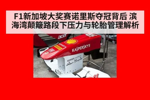 F1新加坡大奖赛诺里斯夺冠背后 滨海湾颠簸路段下压力与轮胎管理解析